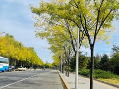 -北坞公园