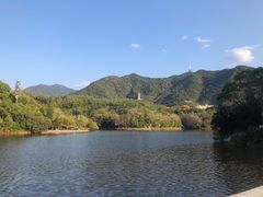 -深圳仙湖植物园