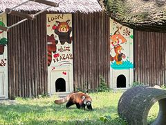 -合肥野生动物园