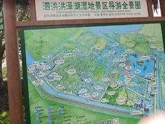 -泗洪洪泽湖湿地景区