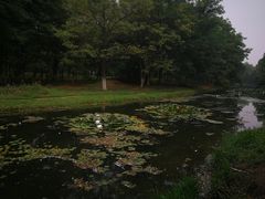 -长白岛森林公园