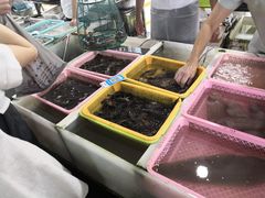 -大湾区中央湿地公园-十九涌