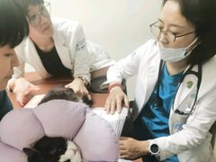 -美联众合动物医院·24h转诊中心