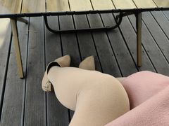 -阿兹凯乐·老洋房西餐