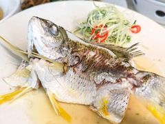 -龙的酒楼·手工早茶·顺德菜(近良路店)