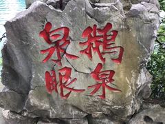 -靖西鹅泉风景区