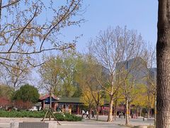 -莲花池公园