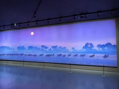 -罗红摄影艺术馆