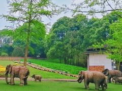 -保利石象湖景区