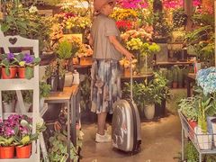 -溪岸路花鸟市场