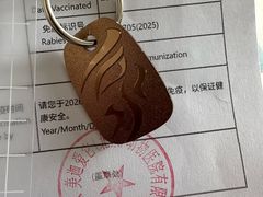 -美迦爱-牙专科·兔科·骨科诊疗中心(北苑店)
