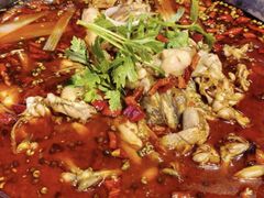 -蛙老爹·蜀香美蛙鱼头(王家湾店)