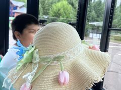 -五营红松林海景区