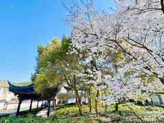 -老李家土菜馆·安吉地标美食