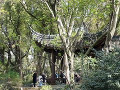 -上海佘山国家森林公园天马山园