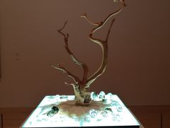 -石排湾郊野公园