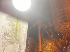 -罗妈砂锅(四川成都奎星楼店)