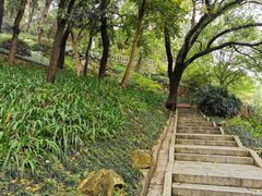 -乌山风景区