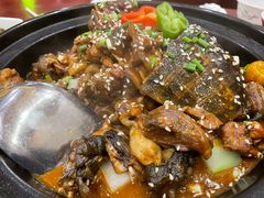 生态甲鱼-火焰金龟甲(汉阳江滩旗舰店)