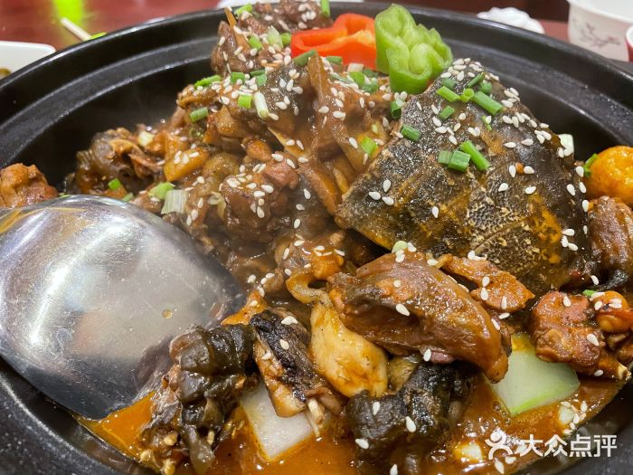 火焰金龟甲(汉阳江滩旗舰店)生态甲鱼图片