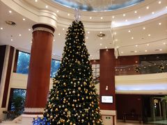 -上海圣淘沙万怡酒店