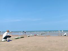 -日照海滨国家森林公园