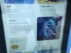 -海合安成都极地海洋公园