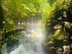 -牛背梁国家森林公园