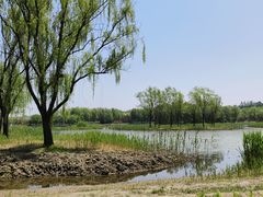 -大兴滨河森林公园