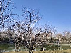 -春晖园度假酒店温泉