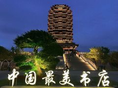 -淄博花灯齐彩城