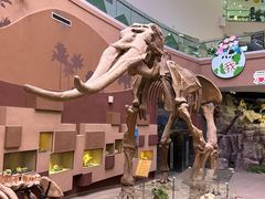 -陕西自然博物馆