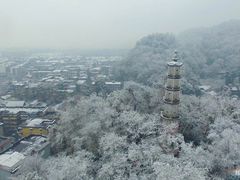-四川农业大学(雅安校区)