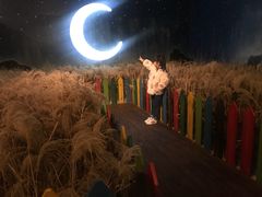 -爱来魔相4D艺术馆(济州中文馆)