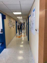 -杭州贝瑞斯美华妇儿医院·早孕·产检·儿科