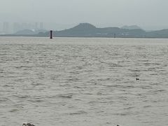-深圳湾公园(南山区)