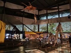 -湖南省地质博物馆