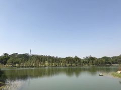 -东莞植物园