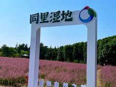 -同里国家湿地公园