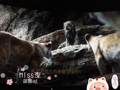 -万达影城(IMAX激光铁西万达广场店)