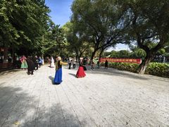-北陵公园