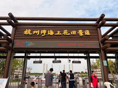 -杭州湾海上花田景区