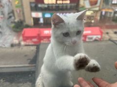-城墙拐拐火锅(三峡广场黑金冠店)