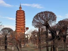 -西海子公园