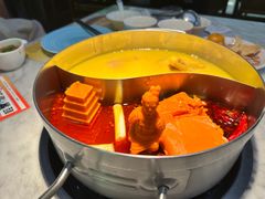 -澳美徕·港式花胶鸡火锅(高新万达店)