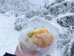 -瓦屋山景区