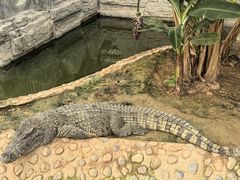 -石家庄市动物园