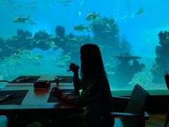-海棠湾洲际-涛·海底餐厅·美人鱼·自助餐·海底隧道