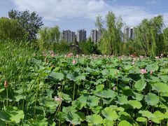 -太阳宫公园