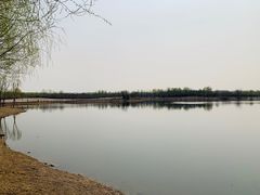 -东郊湿地公园